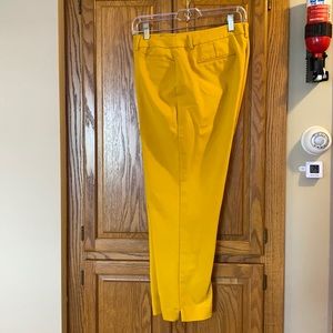 Women’s Dress Pants
